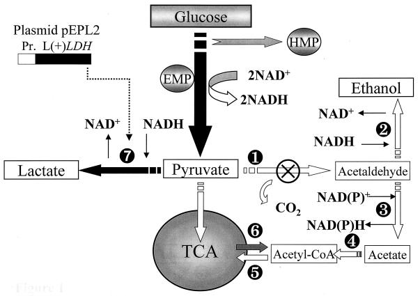 FIG. 1