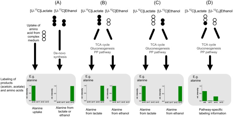 FIG 2