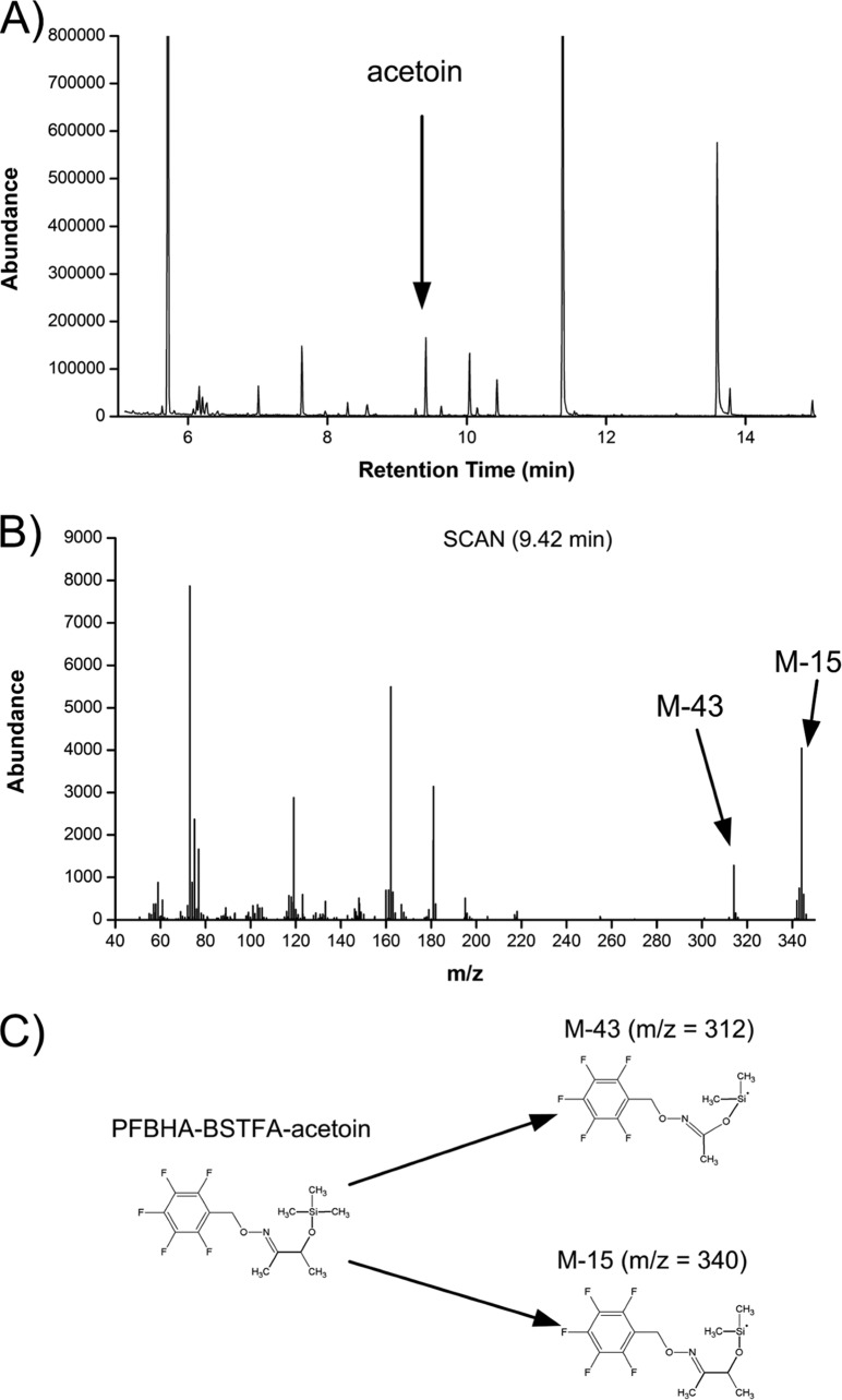 FIG 3