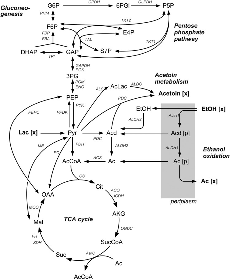 FIG 1