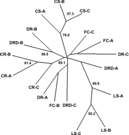 Fig. 5