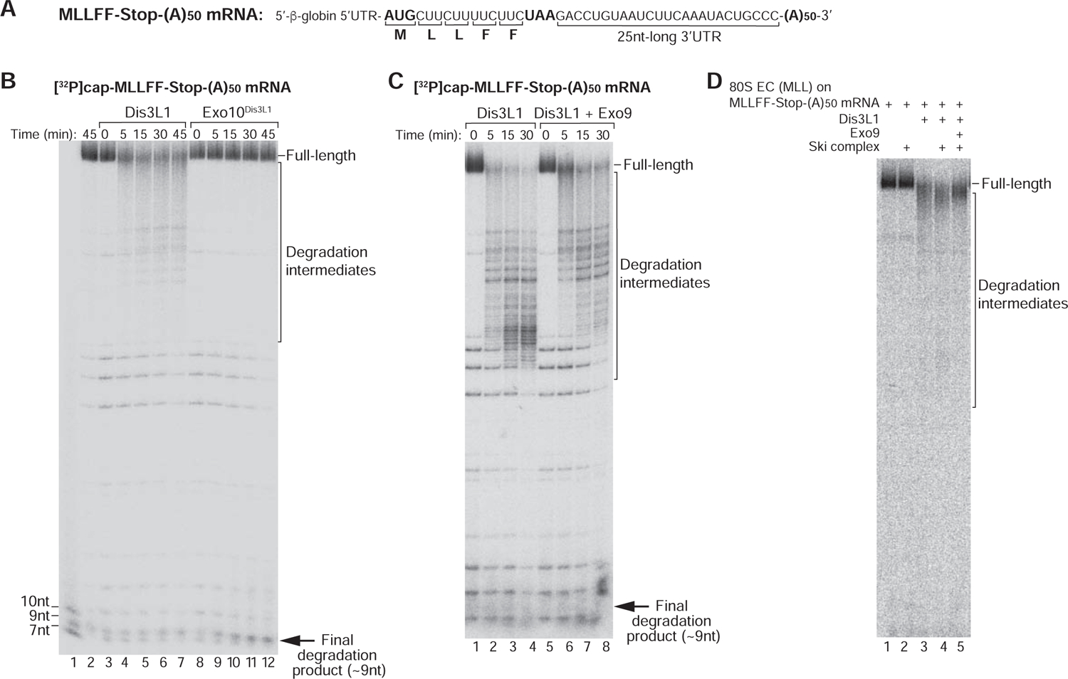 Figure 4.