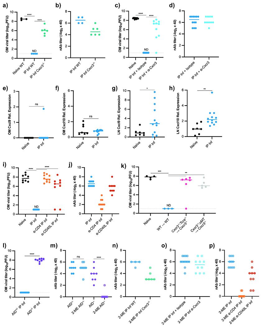 Figure 6 -