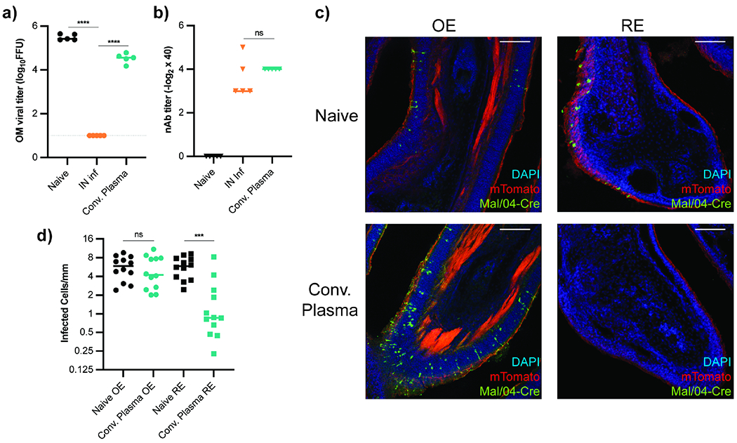 Figure 2 -