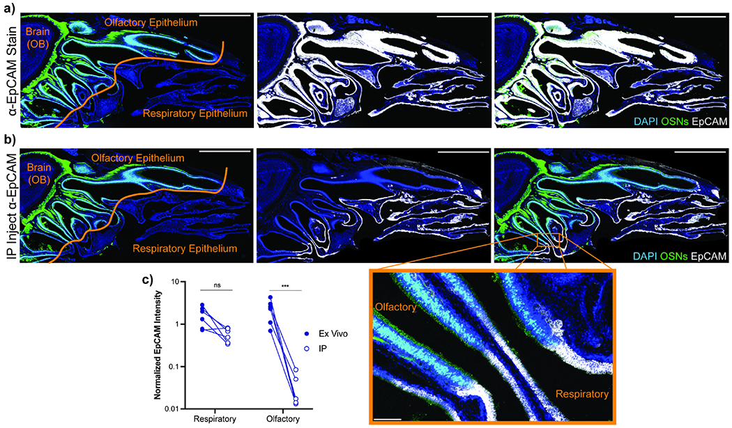 Figure 3 -