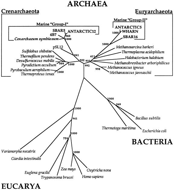 FIG. 1