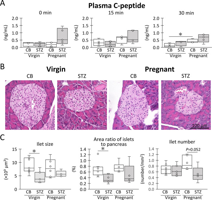 Fig 3