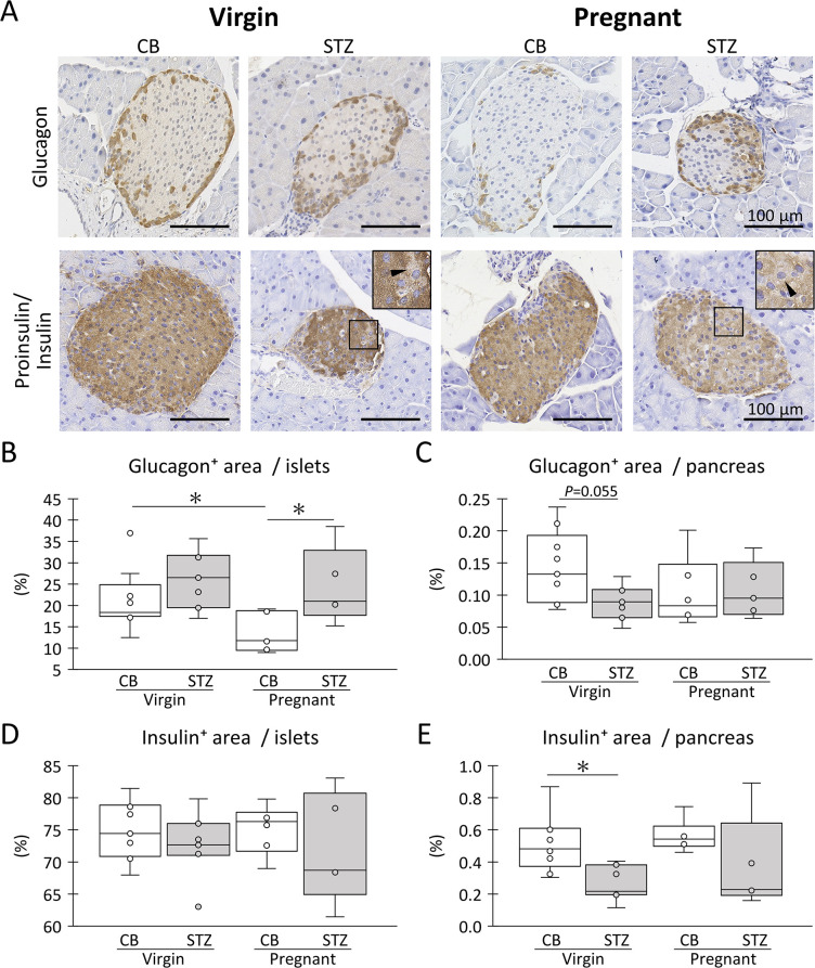 Fig 4