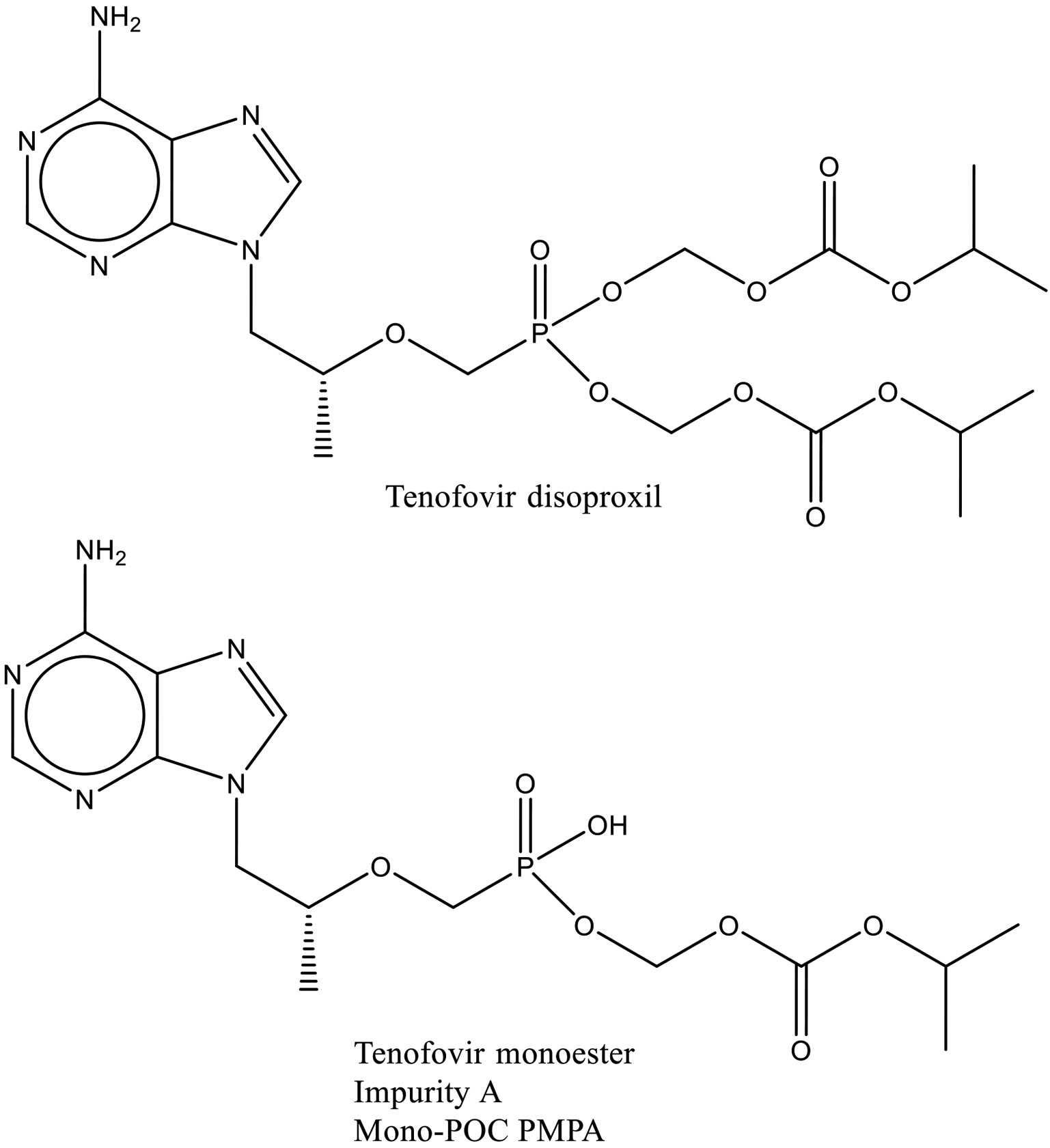 Fig. 2: