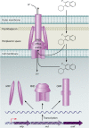 FIG. 5.