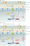 FIG. 3.