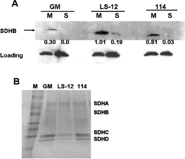 FIG. 4