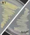FIG. 3.