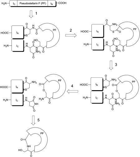 Figure 2