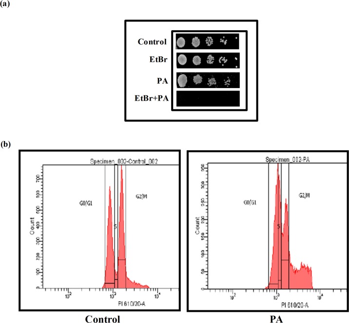 Fig 8