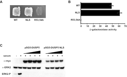 FIG. 8.