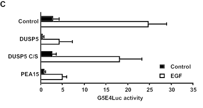 FIG. 11.