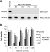 Figure 3. MLH1 gene KO abrogates responsiveness to olaparib. A, Western blot analysis of 4 different MLH1 KO clones (E3, D9, F3, G2) obtained from GTR0210 primary cells (parental) by CRISPR-Cas9 genome editing. B, Cell viability of GTR0210 parental cells and MLH1 KO clones derived thereof, exposed at the indicated increasing concentrations of olaparib for 6 days.