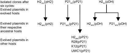 Figure 2.—