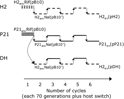 Figure 1.—