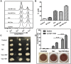 Figure 4