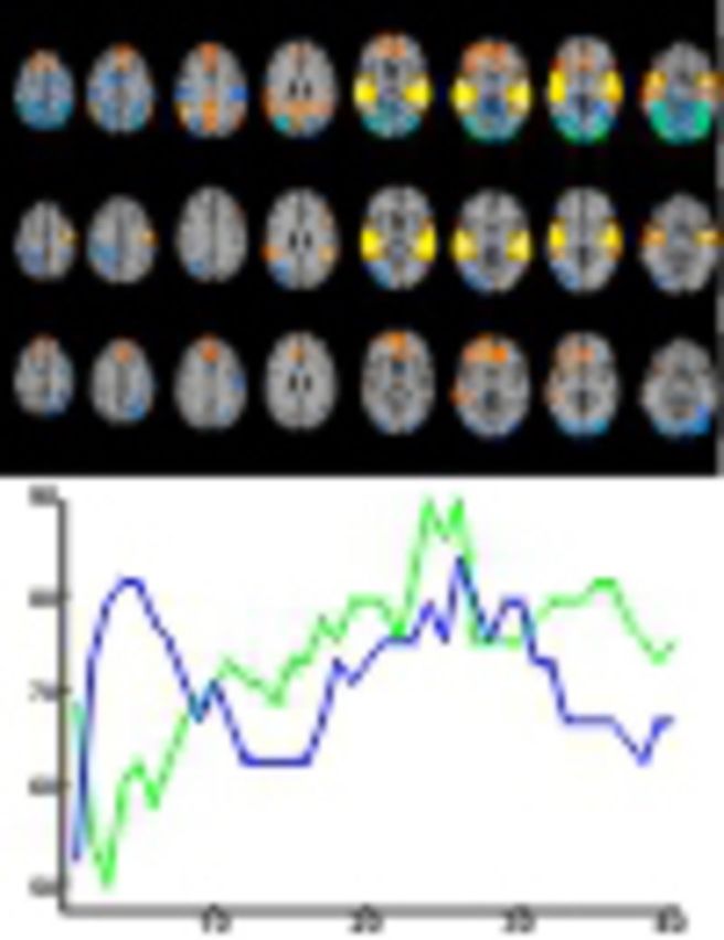 graphic file with name awv049fig1g.jpg