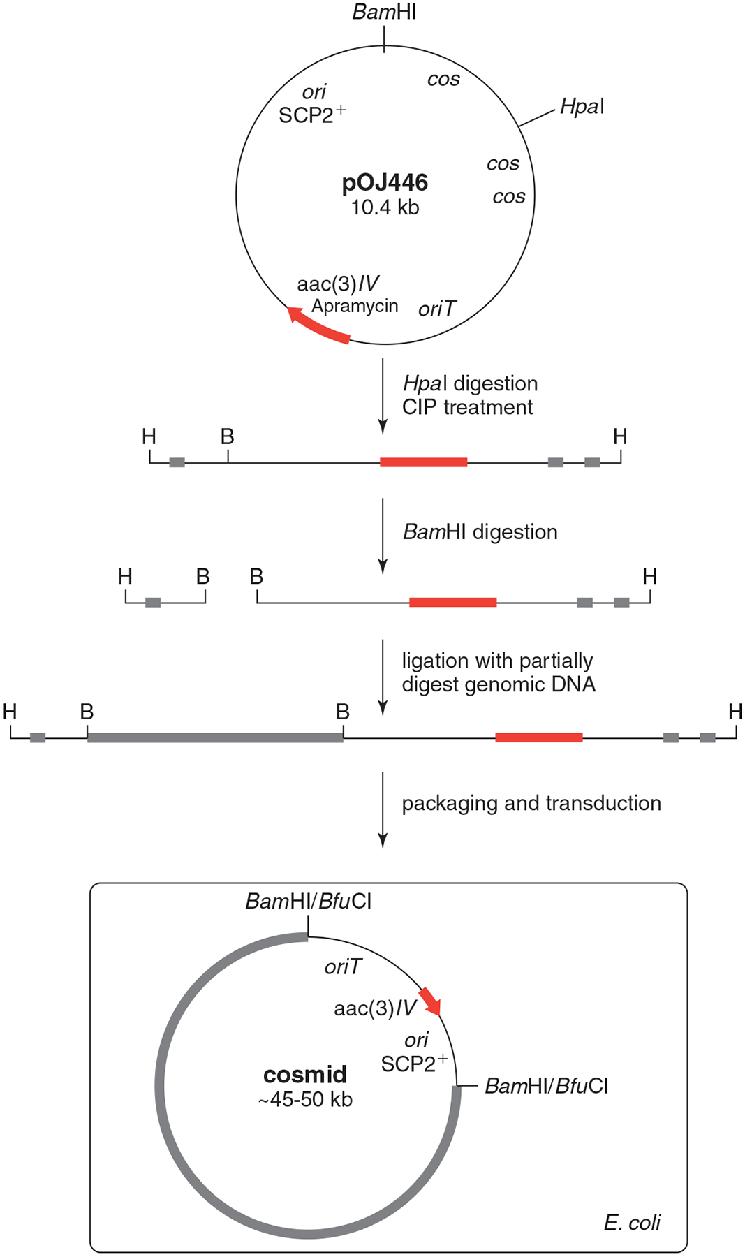 Figure 10E.3.2