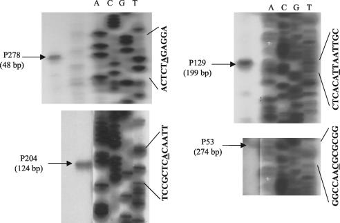 FIG. 4.