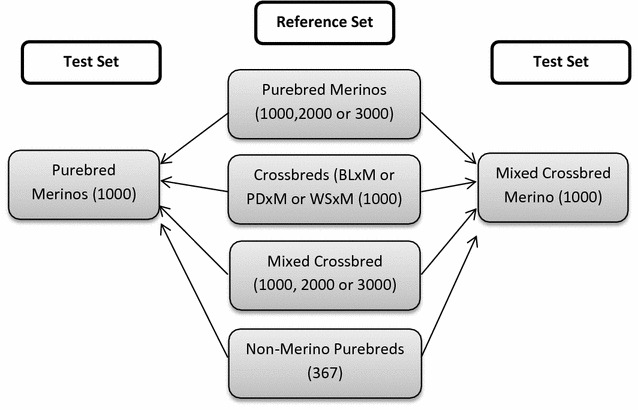 Fig. 1