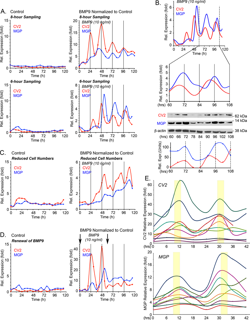 Figure 2: