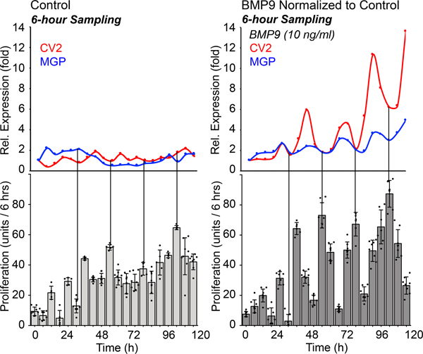 Figure 4: