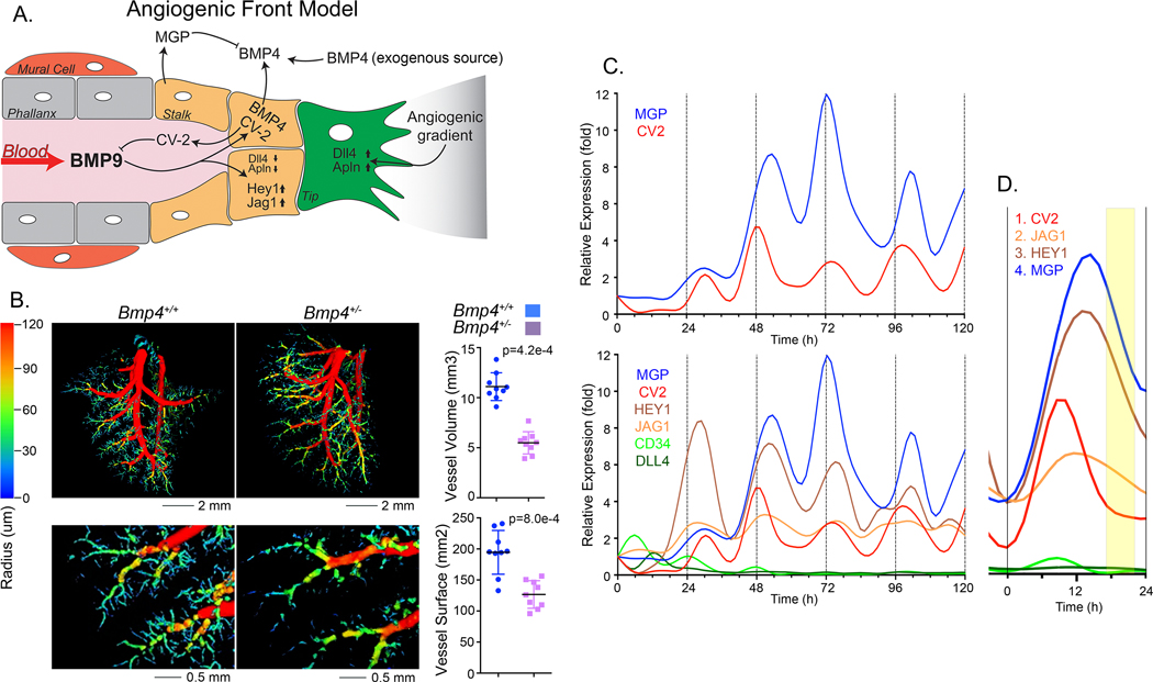 Figure 3: