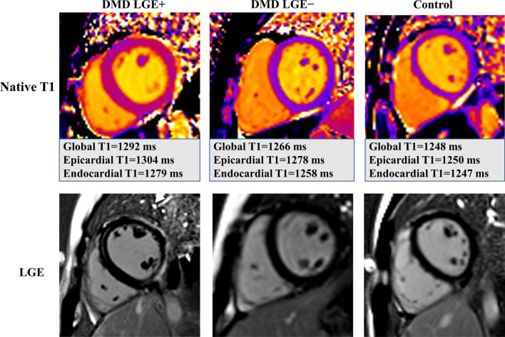 Fig. 4