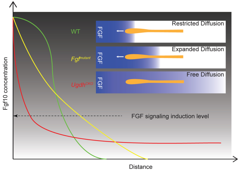 Fig. 8.