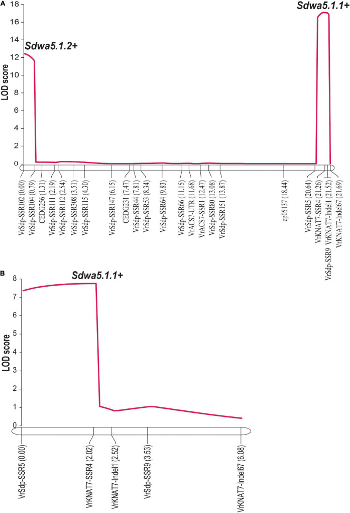 FIGURE 4