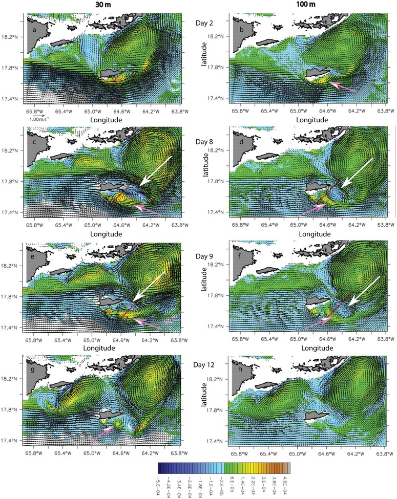 Fig 11