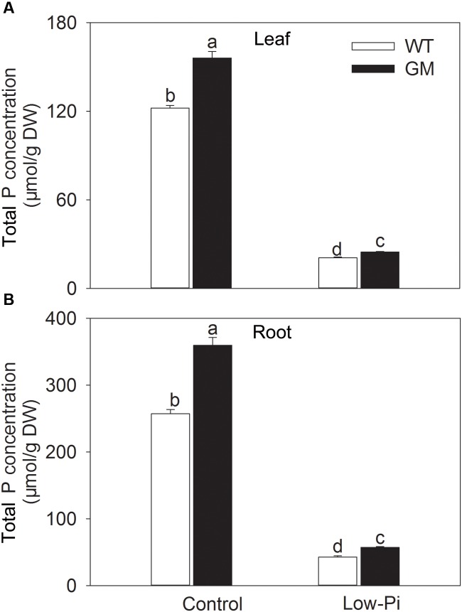 FIGURE 4