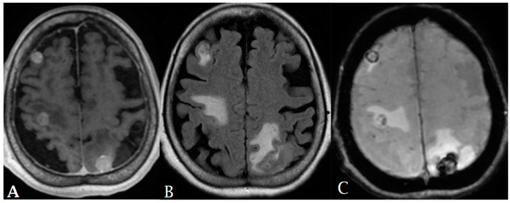 Figure 6