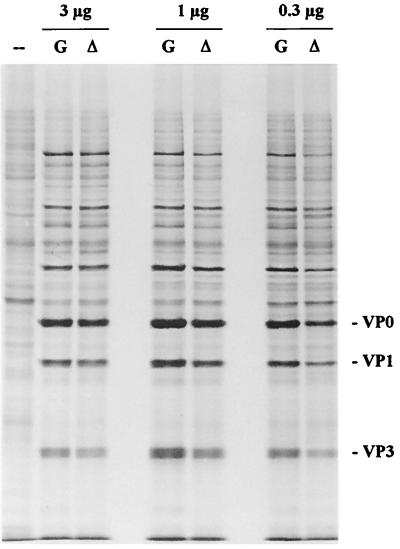 FIG. 5