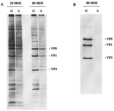 FIG. 6