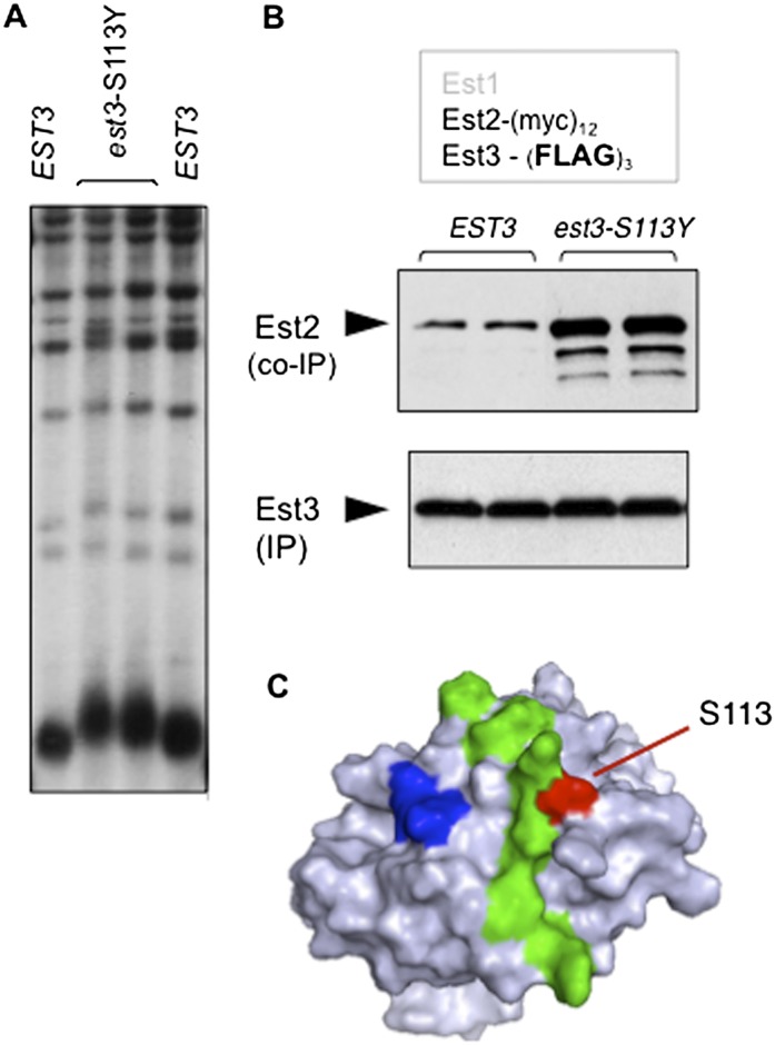 Figure 5.