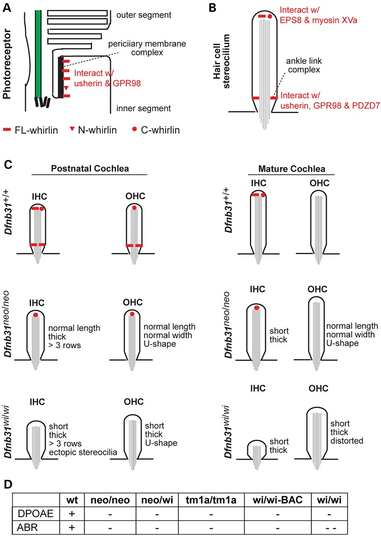 Figure 10.