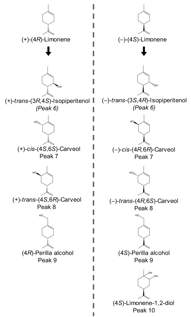 Fig 5