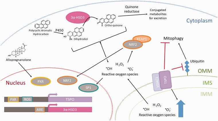 Figure 3.