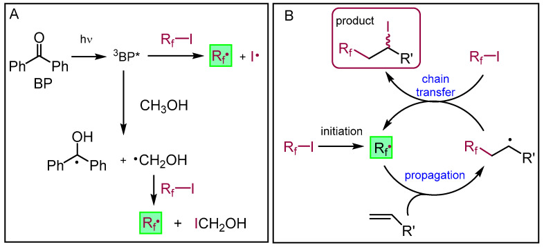 Scheme 5