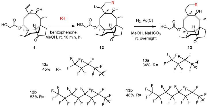 Scheme 6