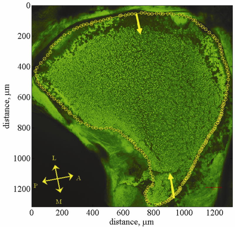 Fig. 2