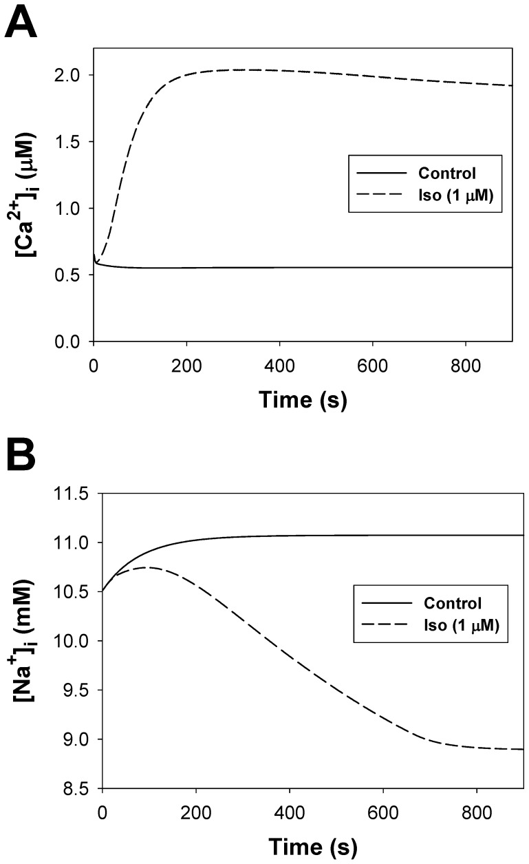 Figure 20