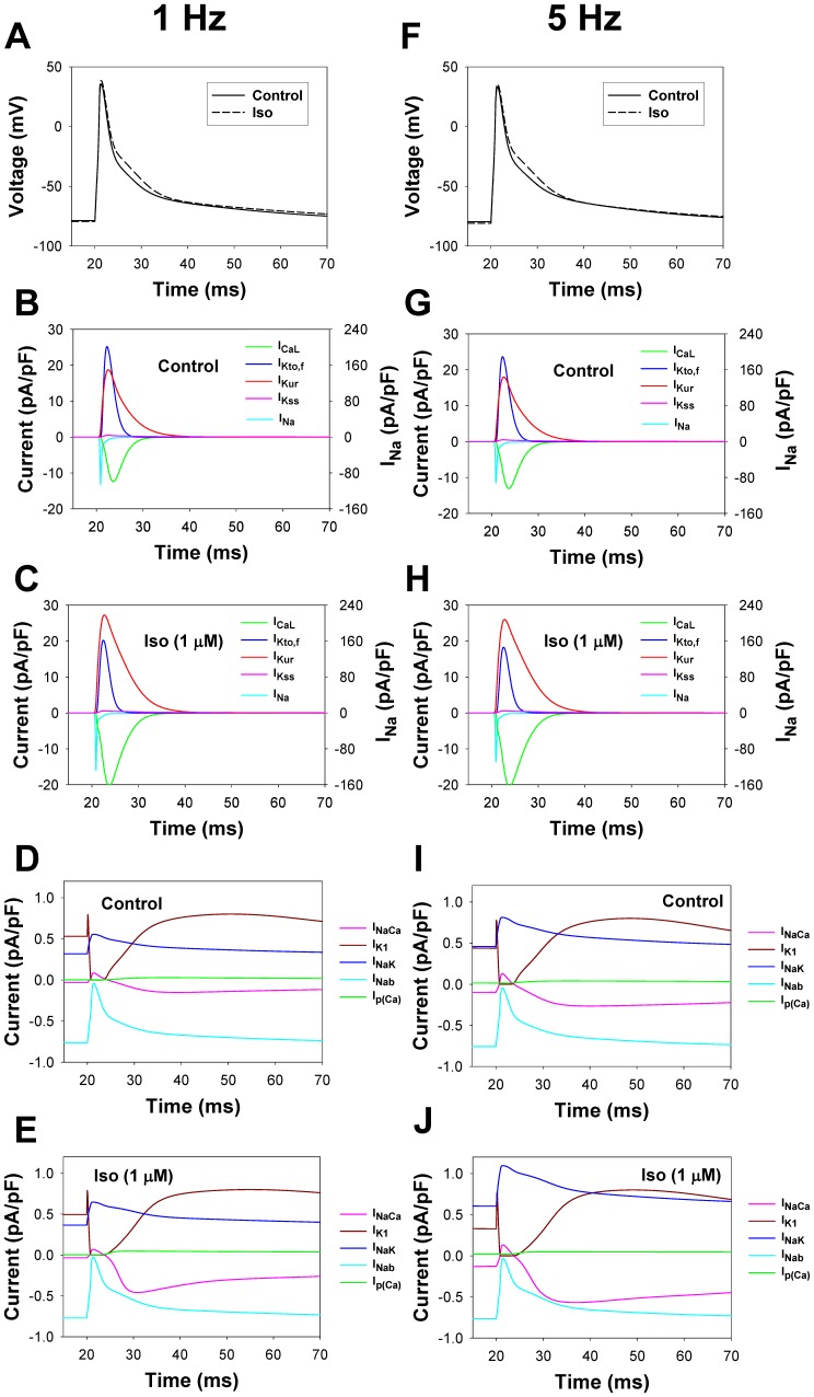 Figure 17