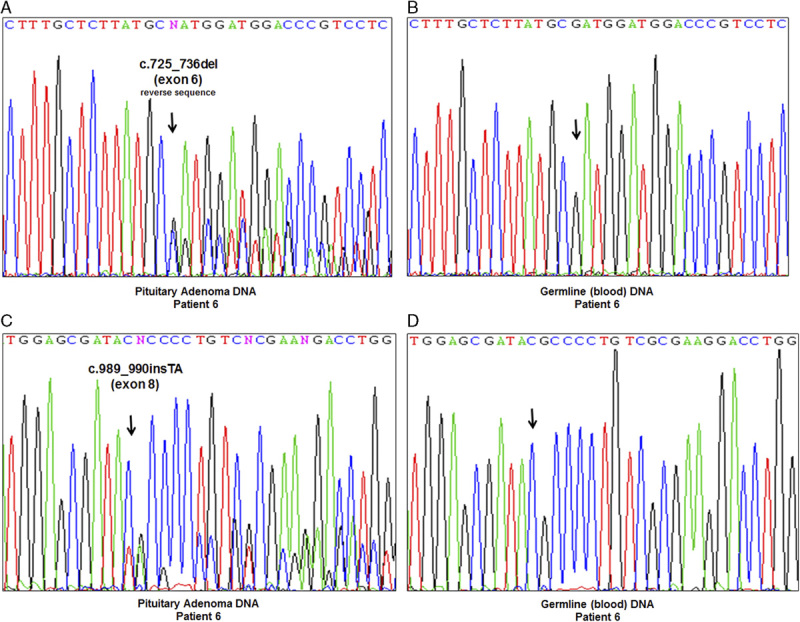 FIGURE 4